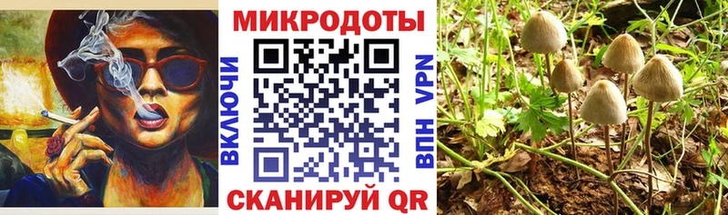 Псилоцибиновые грибы Magic Shrooms ссылка на мегу как войти Советск