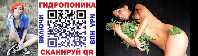 МАРИХУАНА планчик  Советск 